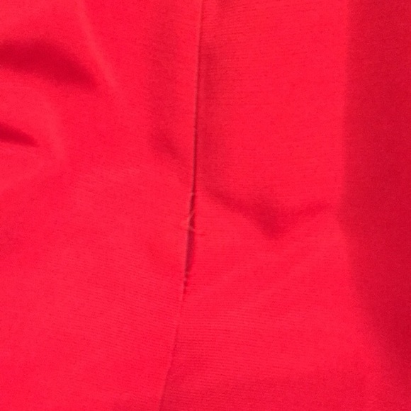 Express Red Skirt - Picture 4 of 4